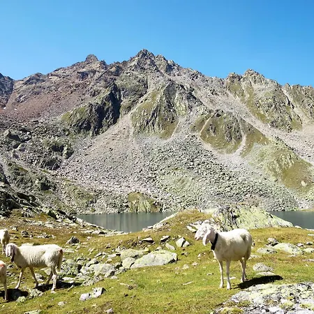 Rosi By Interhome דירה זולדן