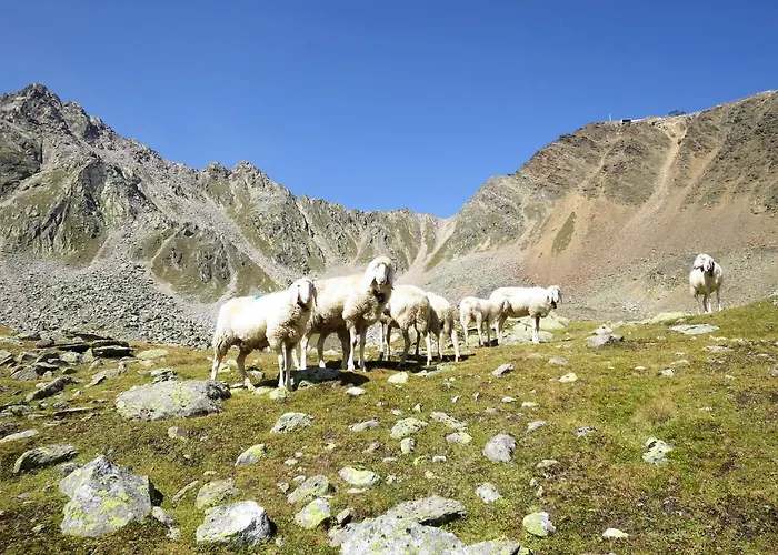 Rosi By Interhome Lägenhet Sölden