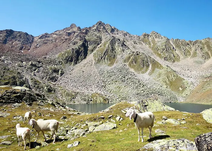 Rosi By Interhome Daire Sölden